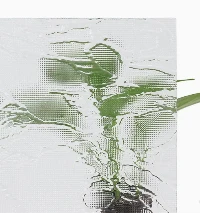 pattern tempered glass01 pattern tempered glass01